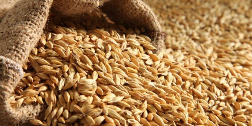 Brewing Malt Comparison Chart