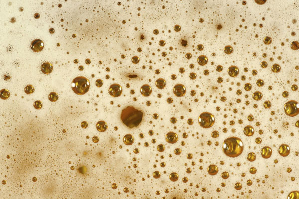 The Secrets to Better Beer Foam